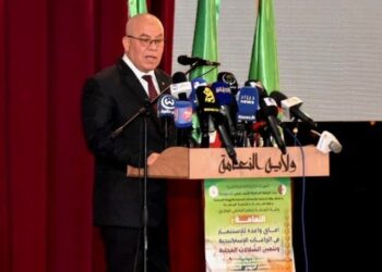 الاستثمار الفلاحي في الجنوب: تحويل نحو 450 ألف هكتار إلى ديوان تنمية الزراعة الصناعية بالأراضي الصحراوية