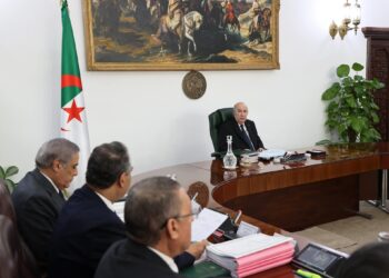 رئيس الجمهورية يقرر توسيع عطلة الأمومة إلى 5 أشهر