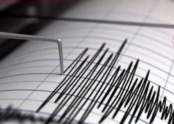 سايحي التزام الدولة بالتكفل بمرضى السرطان وإنتاج الأدوية محليًا
