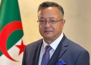 الجامعة والاقتصاد الوطني: منصات رقمية جديدة لتعزيز الابتكار والتعاون