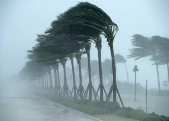 أمطار رعدية عبر 12 ولاية في الوطن
