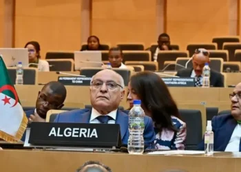 الجزائر تفوز بعضوية مجلس السلم والأمن الإفريقي بأغلبية ساحقة