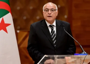 عطاف وفالتونن يرسمان خريطة طريق لعلاقات جزائرية-فنلندية أقوى