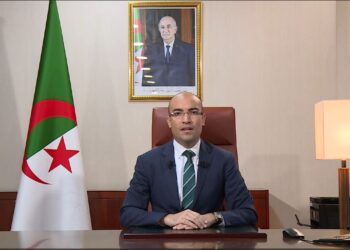 سفيان شايب: أبناء الجالية في قلب أولويات الحكومة الجزائرية