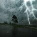 أمطار رعدية غزيرة عبر هذه الولايات اليوم
