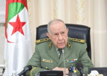 شنقريحة: الدفاع عن الجزائر واجب وطني ضد الحملات المغرضة