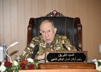 شنقريحة: الجزائر سباقة في حرب الإرهاب ولن تقبل المزايدات