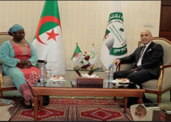 خلفان يستقبل مسؤولة وحدة الديمقراطية والانتخابات بمفوضية الاتحاد الإفريقي