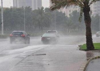 سقوط أمطار رعدية على عدد من ولايات شرق الوطن